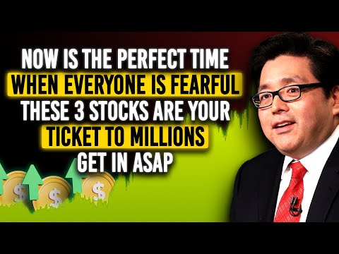 Told You This Will Happen After Elections - Tom Lee - You Just Need These 3 AI Stocks To Become Rich