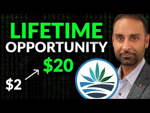 Why I Own High Tide Shares (HITI Stock Analysis) – BEST Cannabis Company EVER 🔥