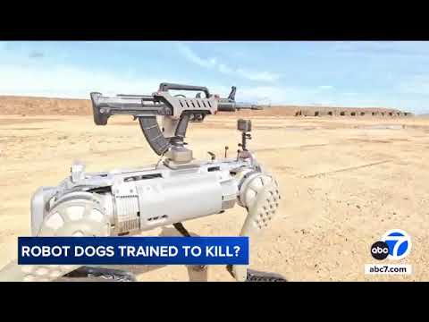 China&#039;s military shows off robot dog with automatic rifle mounted on its back