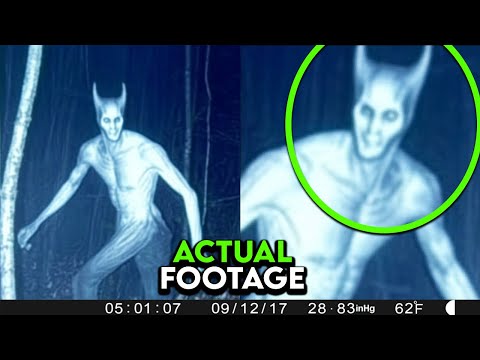 MOST Disturbing Camping Moments Ever Caught On Recent Trail Cam