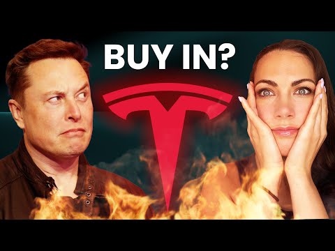 Is the Tesla stock price overvalued? Why experts disagree!