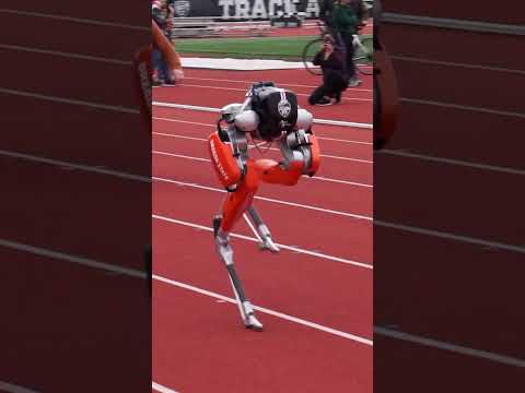 Fastest 100 meters by a bipedal robot - 24.73 seconds 🤖