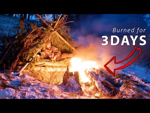 Lost in the Wilderness - How to NOT Freeze to Death! Winter Survival &amp; Bushcraft (No Tent or Bag)